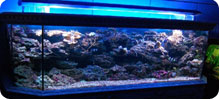 led aquarium lamp